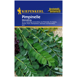 Pimpinelle, minor Sanguisorba, Saatgut Pimpinelle, minor Sanguisorba, Saatgut