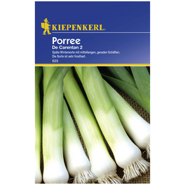 Porree porrum Allium Porree porrum Allium