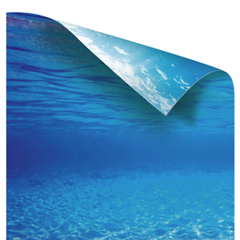 Poster, blau