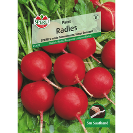 Radies »Parat«, bewährte, milde Sommersorte, lange Erntezeit
