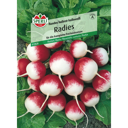 Radies »Rundes halbrot-halbweiß«, für die gesamte Freilandsaison