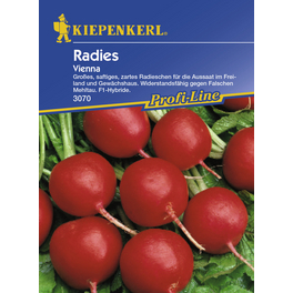 Radieschen, Raphanus sitivus var. sativus, für ca. 10 lfd. Meter