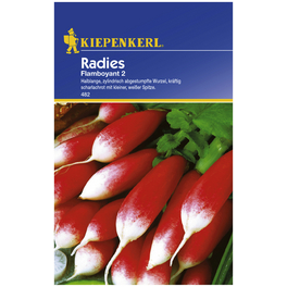 Radieschen sativus var. sativus Raphanus