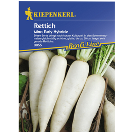 Rettich sativus var. longipinnatus Raphanus Rettich sativus var. longipinnatus Raphanus
