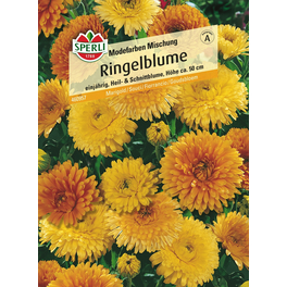Ringelblumen »Modefarben Mischung«, einjährig, Heil- und Duftblume, Höhe ca. 50 cm