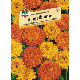 Ringelblumen »Zwerg Bonbon Mischung«, einjährig, kompakter Mischkulturpartner, Höhe 25-30 cm