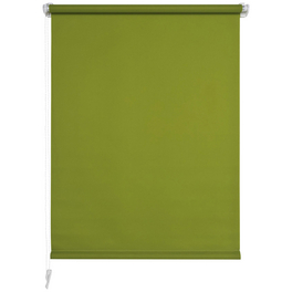 Rollo »Klemmfix«, grün, Polyester