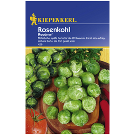 Rosenkohl oleracea var. gemmifera Brassica Rosenkohl oleracea var. gemmifera Brassica