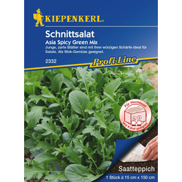 Salat »Asia Spicy Green Mix«, 1 Stück a 15 x 150 cm Salat »Asia Spicy Green Mix«, 1 Stück a 15 x 150 cm