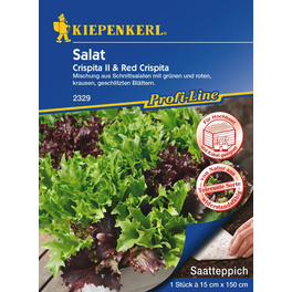 Salat »Crispita II, Red Crispita«, 1 Stück a 15 x 150 cm Salat »Crispita II, Red Crispita«, 1 Stück a 15 x 150 cm