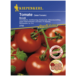Salat-Tomate lycopersicum Solanum »Bocati«