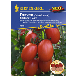 Salat-Tomate lycopersicum Solanum »Bolstar Sensatica«