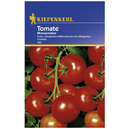 Salat-Tomate lycopersicum Solanum »Moneymaker« Salat-Tomate lycopersicum Solanum »Moneymaker«