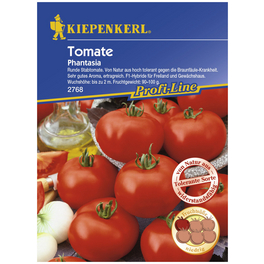 Salat-Tomate lycopersicum Solanum »Phantasia« Salat-Tomate lycopersicum Solanum »Phantasia«