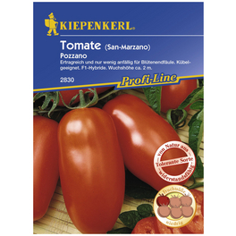 Salat-Tomate lycopersicum Solanum »Pozzano«