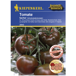 Salat-Tomate lycopersicum Solanum »Sacher«