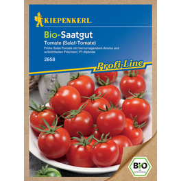 Salat-Tomate, Solanum lycopersicum, Bio-Qualität, Saatgut
