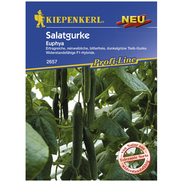 Salatgurke sativus Cucumis »Euphya«