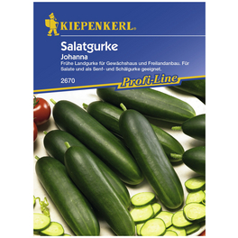 Salatgurke sativus Cucumis »Johanna«