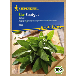 Salbei, Salvia officinalis, Bio-Qualität, Saatgut