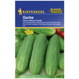 Schälgurke sativus Cucumis