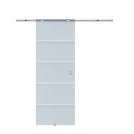 Schiebetür, BxHxS: 77,5x205x0,8 cm, Glas