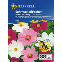Schmuckkörbchen »Sonata«, ca. 40 Pflanzen