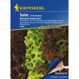 Schnittsalat »Babyleaf-Salatwiese«, 5 lfd. Meter