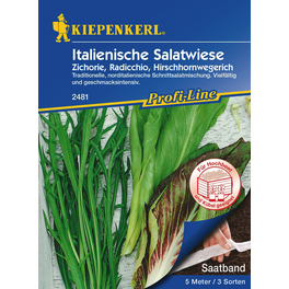 Schnittsalat »Italienische Salatwiese«, 5 lfd. Meter