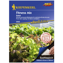 Schnittsalat sativa Eruca Schnittsalat sativa Eruca
