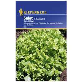 Schnittsalat sativa Eruca Schnittsalat sativa Eruca