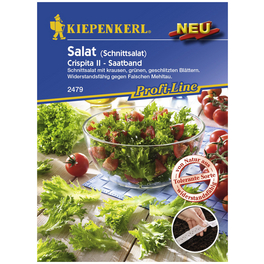 Schnittsalat sativa var.crispa Lactuca Schnittsalat sativa var.crispa Lactuca