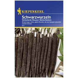 Schwarzwurzel hispanica Scorzonera Schwarzwurzel hispanica Scorzonera