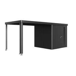 Seitendach »Neo«, BxL: 3000 x 2350 mm, Metall Seitendach »Neo«, BxL: 3000 x 2350 mm, Metall