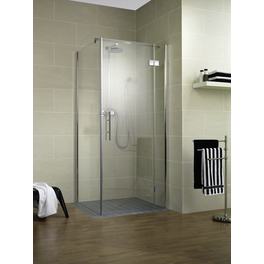Seitenwand »Aventis«, BxH: 100 x 200 cm, ESG, Ecke
