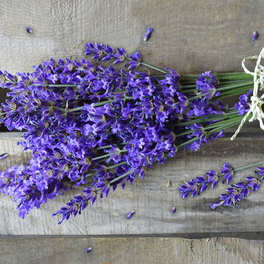 Serviette, Lavender, 20 Stk., 33x33 cm, lavendel