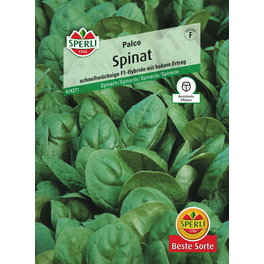 Spinat »Palco«, schnellwachsend, spätschießend & ertragreich Spinat »Palco«, schnellwachsend, spätschießend & ertragreich