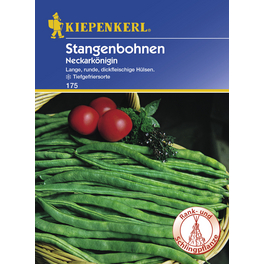 Stangenbohne, Phaseolus vulgaris var. Nanus, Inhalt reicht für 15 - 20 Stangen