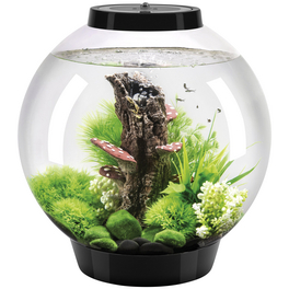 Tabletop Aquarien »biOrb CLASSIC«, mit LED Beleuchtung, 30 l, schwarz