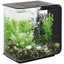 Tabletop Aquarien »biOrb FLOW«, mit LED Beleuchtung, 15 l, schwarz