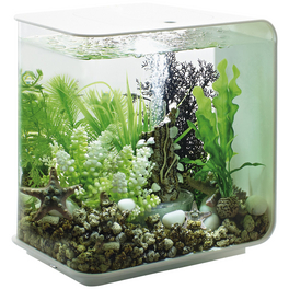 Tabletop Aquarien »biOrb FLOW«, mit LED Beleuchtung, 15 l, weiss Tabletop Aquarien »biOrb FLOW«, mit LED Beleuchtung, 15 l, weiss