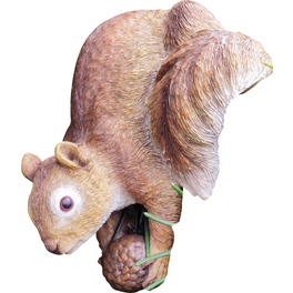 Teichfigur »Ricko«, Eichhörnchen, Polystone, bunt Teichfigur »Ricko«, Eichhörnchen, Polystone, bunt