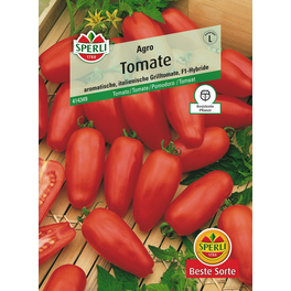 Tomate »Agro«, San-Marzano-Grilltomate, Fruchtgewicht ca. 90 g