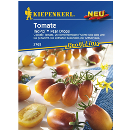 Tomate (Cherry-Tomate) Solanum lycopersicum »IndigoTM Pear Drops« Tomate (Cherry-Tomate) Solanum lycopersicum »IndigoTM Pear Drops«