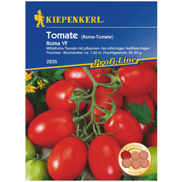 Tomate (Saft) Solanum lycopersicum »Roma«
