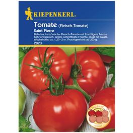 Tomate, (Salat) Solanum lycopersicum »Saint Pierre«