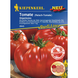 Tomaten »Gigantomo«, 8 Korn Tomaten »Gigantomo«, 8 Korn