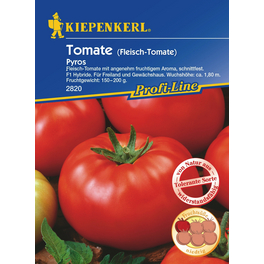 Tomaten »Pyros«, 15 Korn