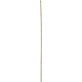 Tonkinstäbe, bambus, Höhe: 180 cm