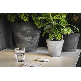 Topf »Claire«, Kunststoff, grau, rund